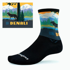 Swiftwick Vision Six Impression National Parks
